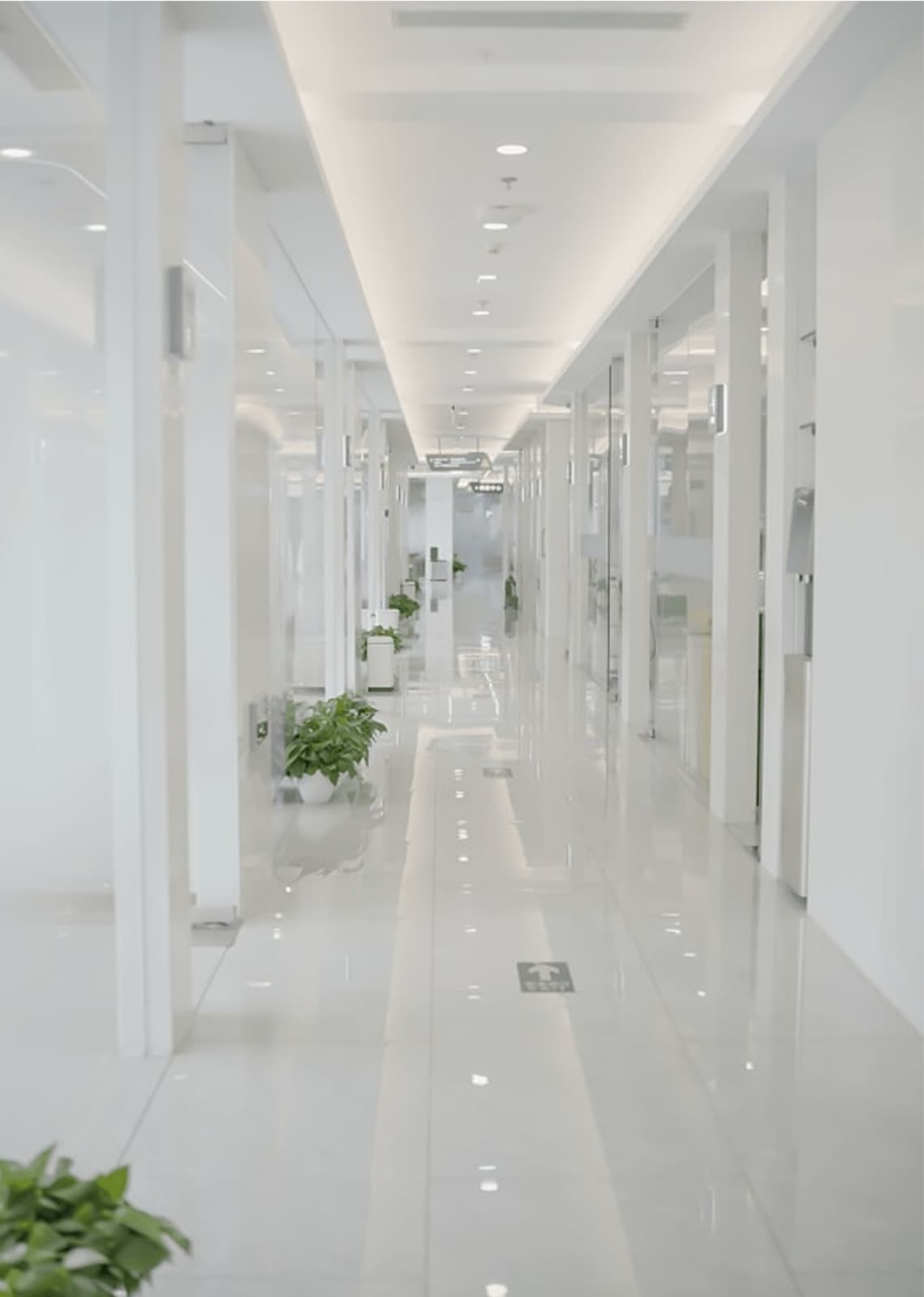 Educational Institutions – Sustainable Campuses